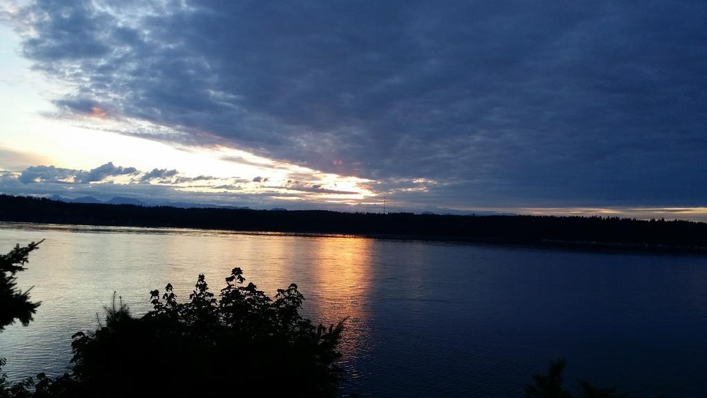 Above Tide Motel Campbell River Dış mekan fotoğraf