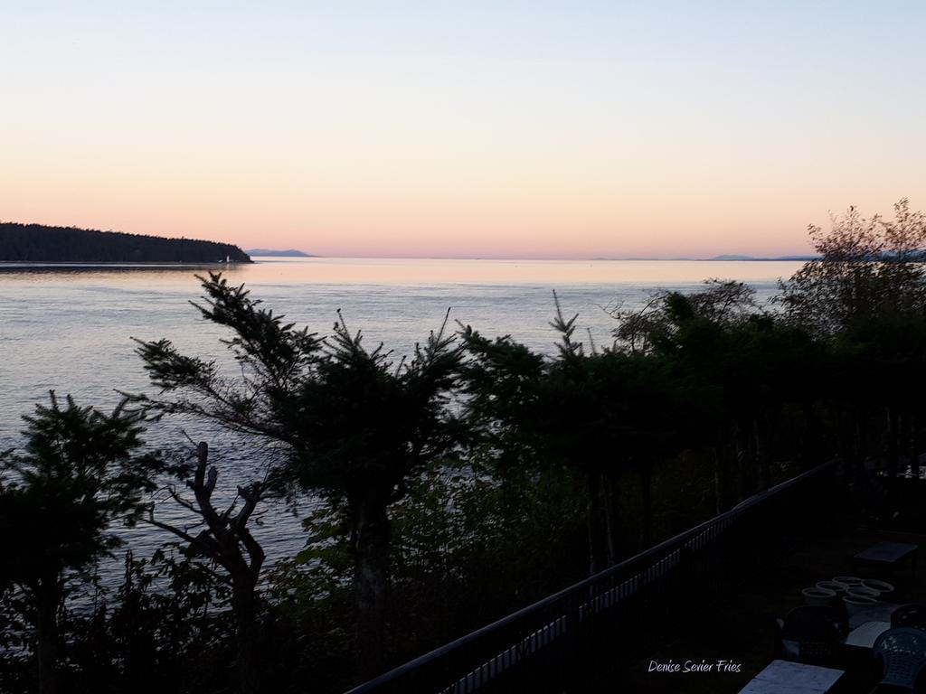 Above Tide Motel Campbell River Dış mekan fotoğraf