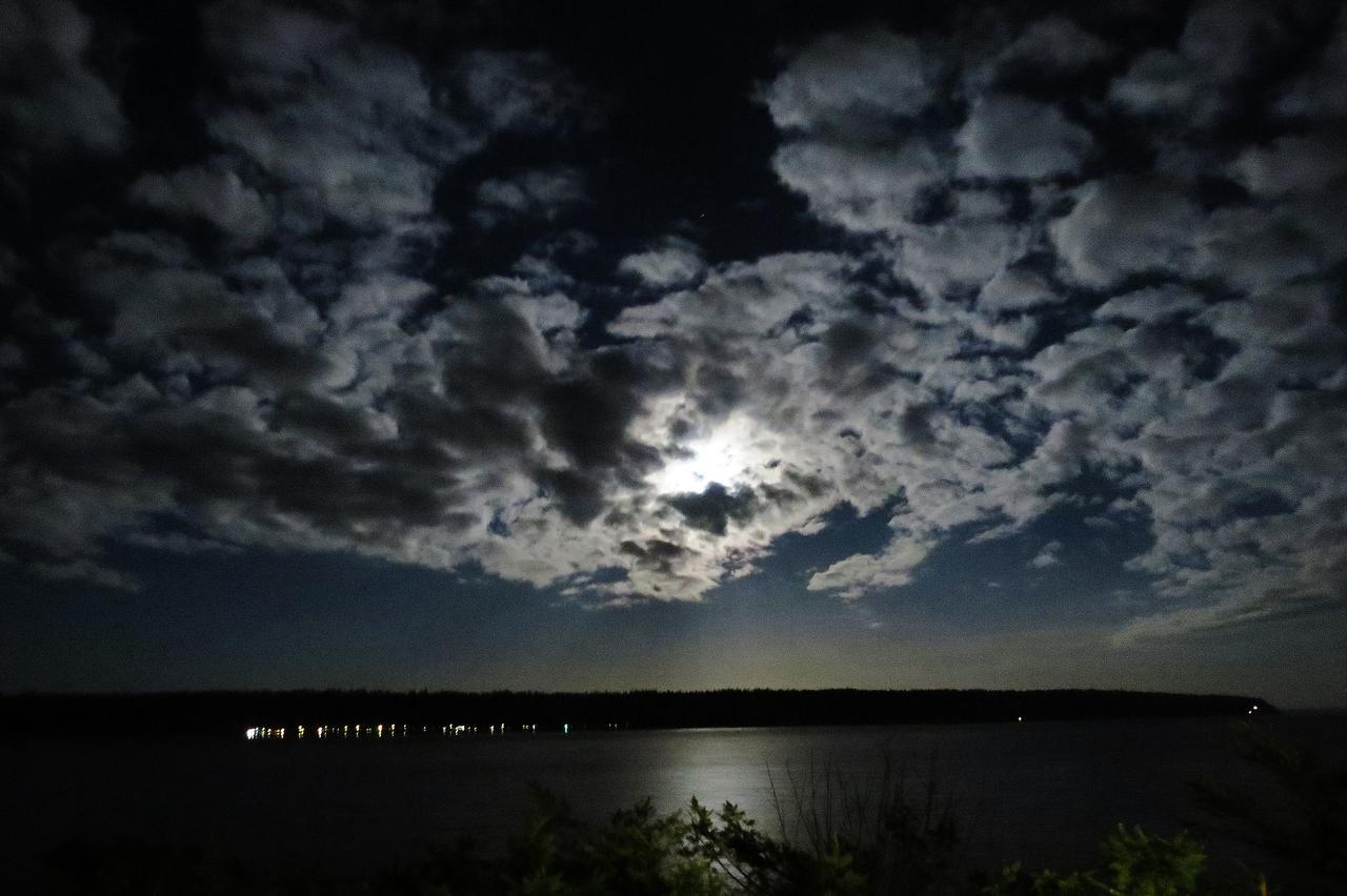 Above Tide Motel Campbell River Dış mekan fotoğraf