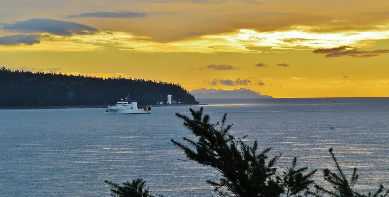 Above Tide Motel Campbell River Dış mekan fotoğraf